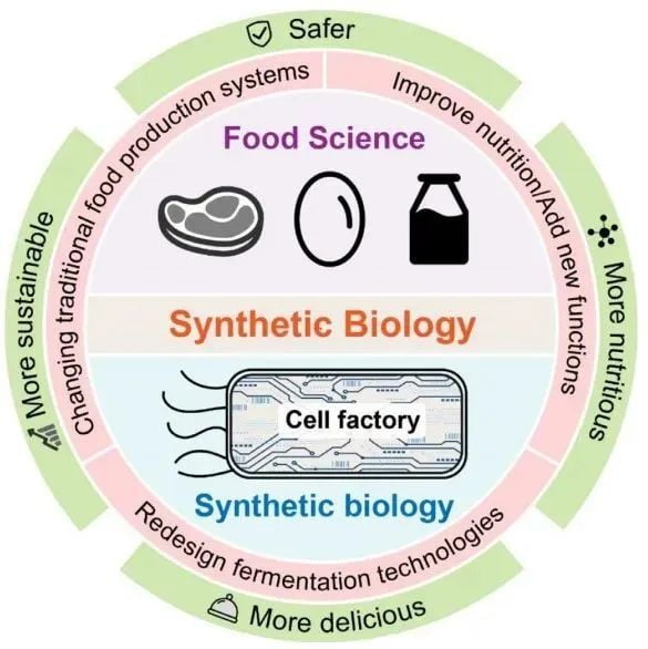 Food from a synthetic biology lab? What taste bud experiences are
